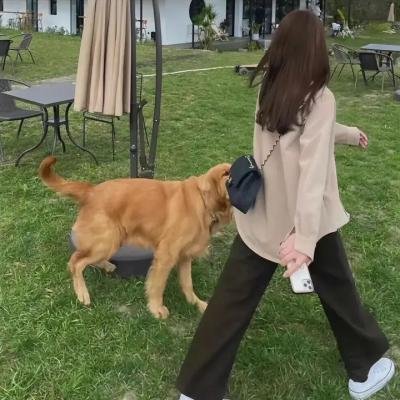 笼里的女人