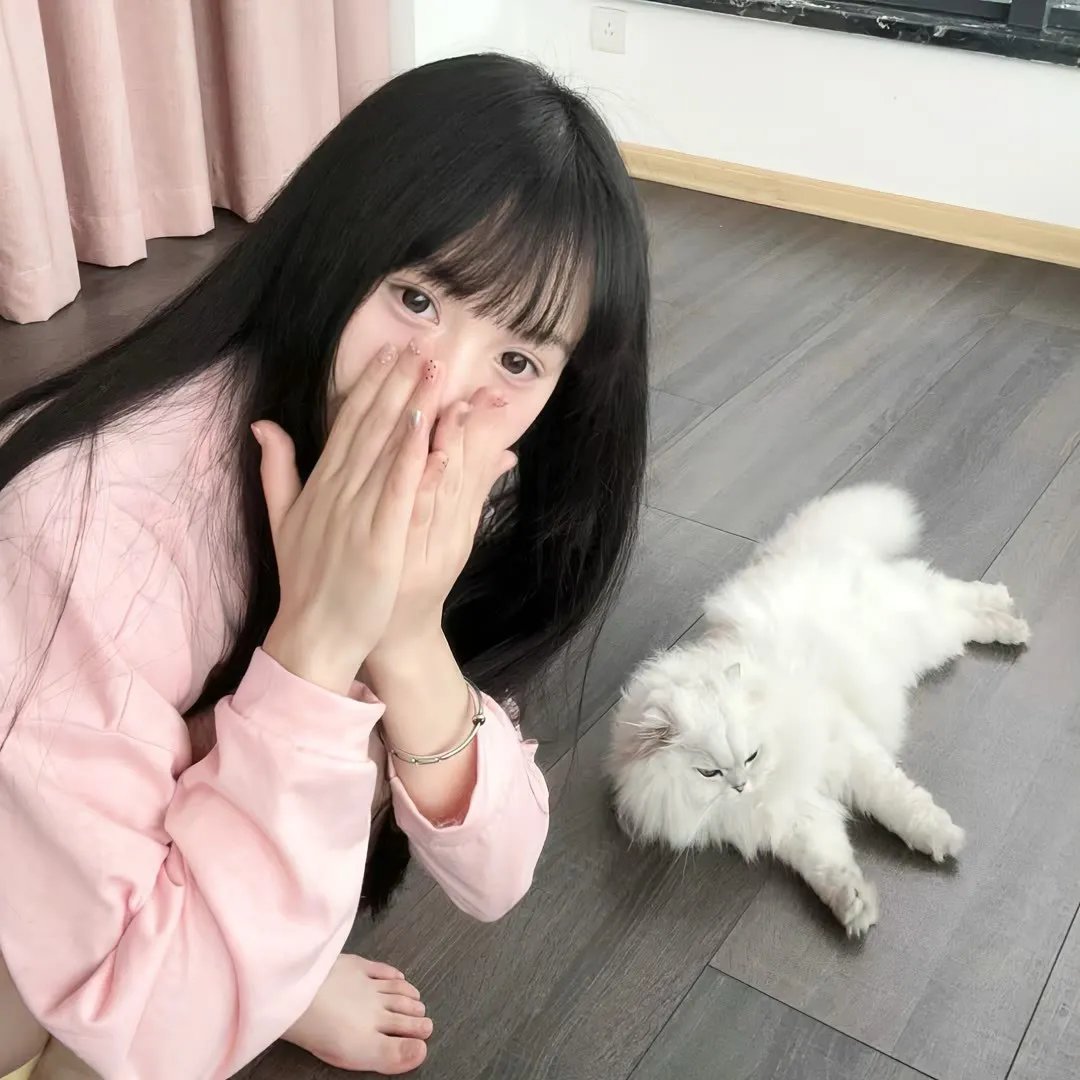 女爵恩仇录2︰复仇之路